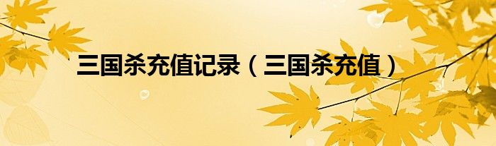 三国杀充值记录（三国杀充值）