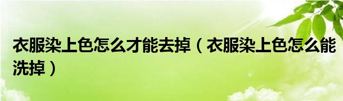 衣服染上色怎么才能去掉（衣服染上色怎么能洗掉）