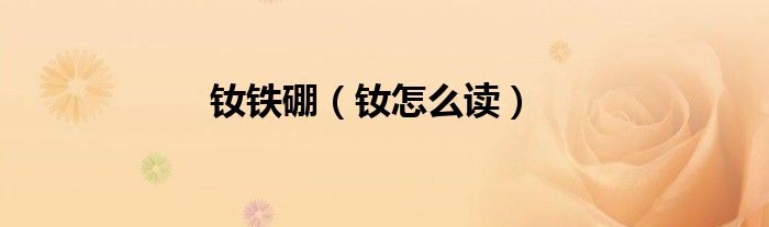 钕铁硼（钕怎么读）