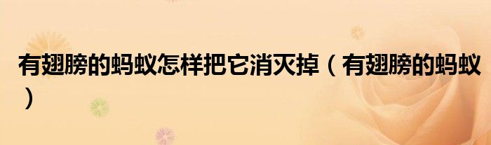 有翅膀的蚂蚁怎样把它消灭掉（有翅膀的蚂蚁）