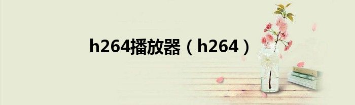 h264播放器（h264）