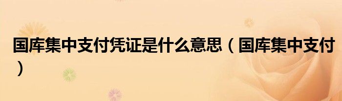 国库集中支付凭证是什么意思（国库集中支付）