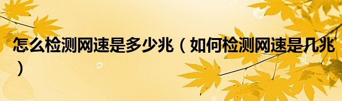 怎么检测网速是多少兆（如何检测网速是几兆）