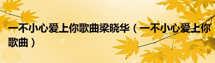 一不小心爱上你歌曲梁晓华（一不小心爱上你歌曲）