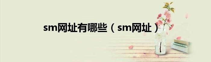 sm网址有哪些（sm网址）