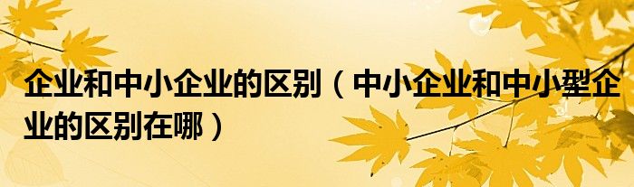 企业和中小企业的区别（中小企业和中小型企业的区别在哪）