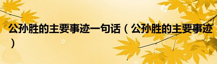 公孙胜的主要事迹一句话（公孙胜的主要事迹）