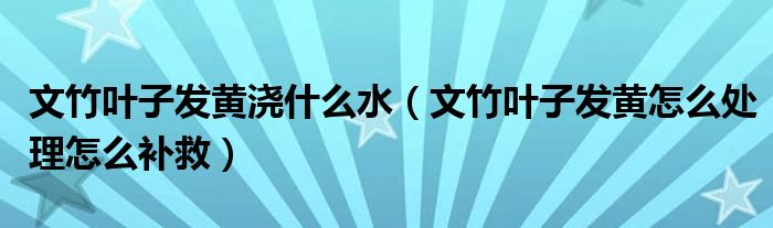 文竹叶子发黄浇什么水（文竹叶子发黄怎么处理怎么补救）