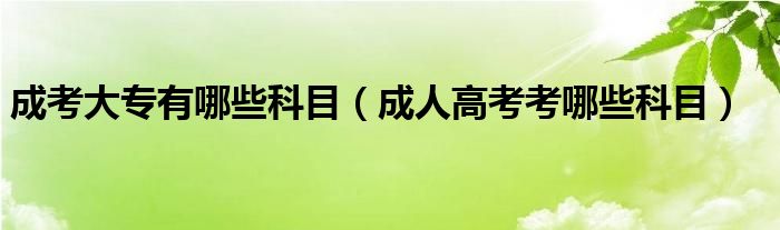 成考大专有哪些科目（成人高考考哪些科目）