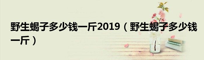 野生蝎子多少钱一斤2019（野生蝎子多少钱一斤）