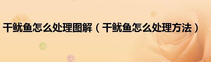 干鱿鱼怎么处理图解（干鱿鱼怎么处理方法）