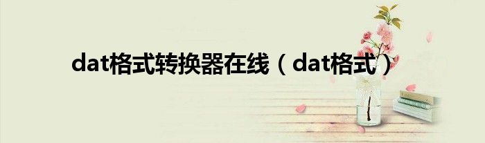 dat格式转换器在线（dat格式）