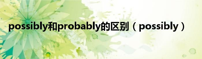 possibly和probably的区别（possibly）