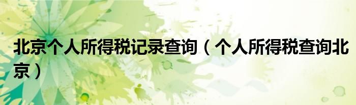 北京个人所得税记录查询（个人所得税查询北京）