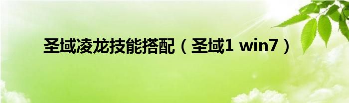 圣域凌龙技能搭配（圣域1 win7）