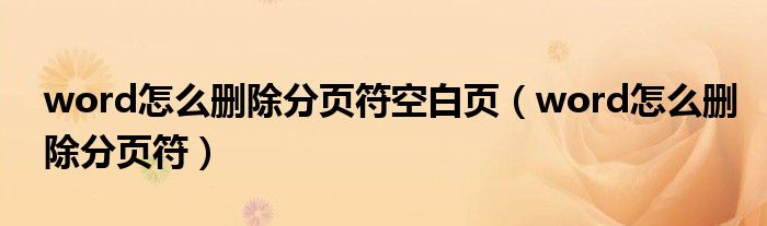 word怎么删除分页符空白页（word怎么删除分页符）