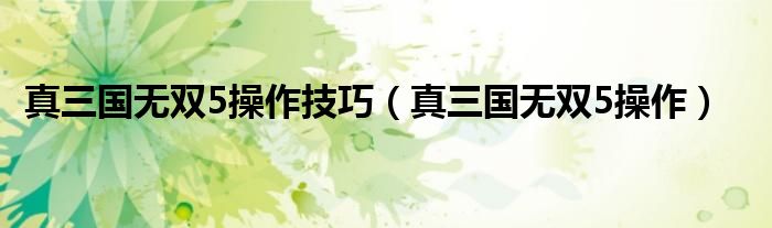 真三国无双5操作技巧（真三国无双5操作）