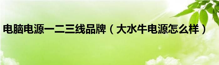 电脑电源一二三线品牌（大水牛电源怎么样）