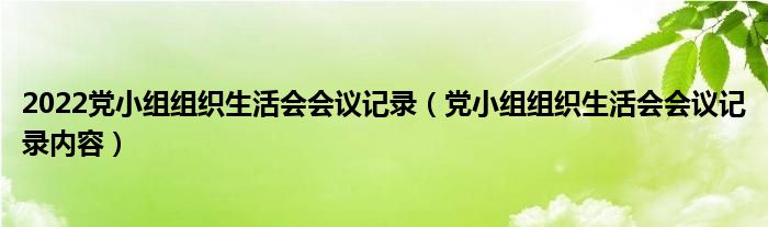 2022党小组组织生活会会议记录（党小组组织生活会会议记录内容）