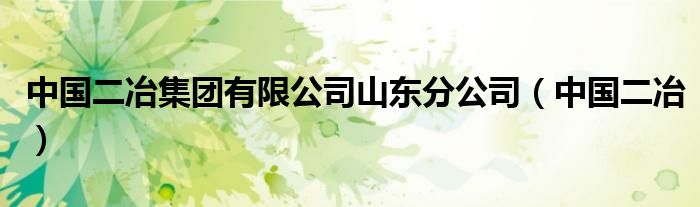中国二冶集团有限公司山东分公司（中国二冶）