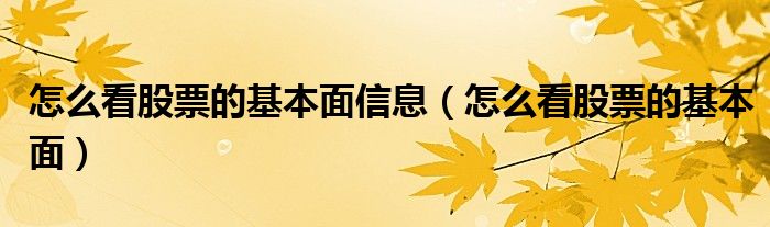 怎么看股票的基本面信息（怎么看股票的基本面）