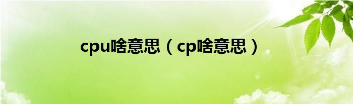 cpu啥意思（cp啥意思）