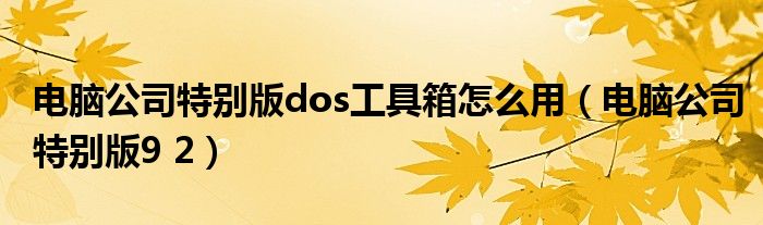 电脑公司特别版dos工具箱怎么用（电脑公司特别版9 2）