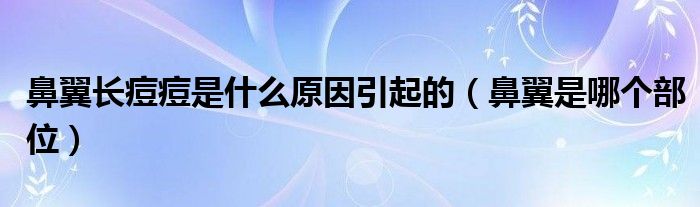 鼻翼长痘痘是什么原因引起的（鼻翼是哪个部位）