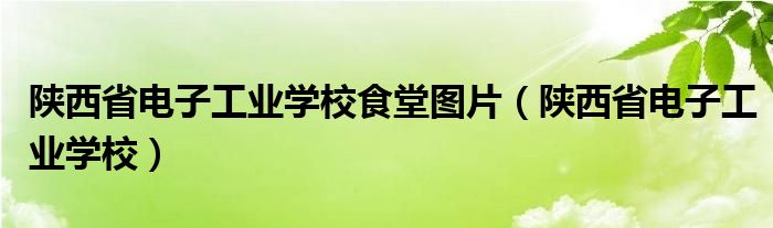 陕西省电子工业学校食堂图片（陕西省电子工业学校）
