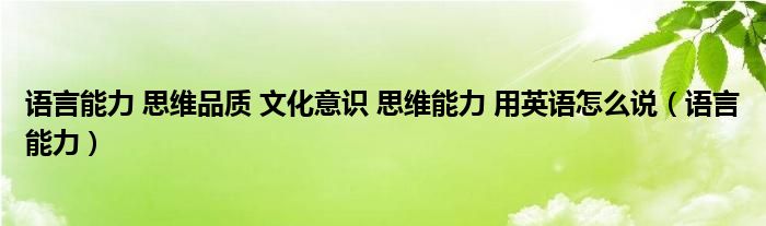 语言能力 思维品质 文化意识 思维能力 用英语怎么说（语言能力）