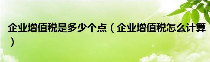 企业增值税是多少个点（企业增值税怎么计算）