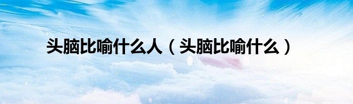 头脑比喻什么人（头脑比喻什么）