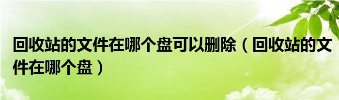 回收站的文件在哪个盘可以删除（回收站的文件在哪个盘）