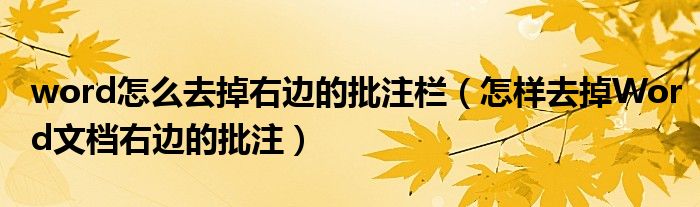 word怎么去掉右边的批注栏（怎样去掉Word文档右边的批注）