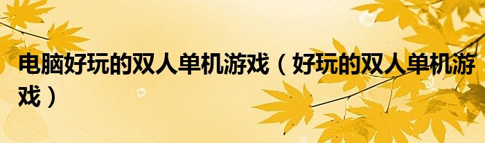 电脑好玩的双人单机游戏（好玩的双人单机游戏）
