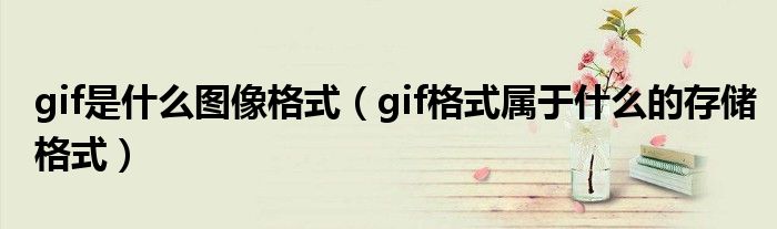 gif是什么图像格式（gif格式属于什么的存储格式）