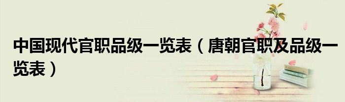 中国现代官职品级一览表（唐朝官职及品级一览表）