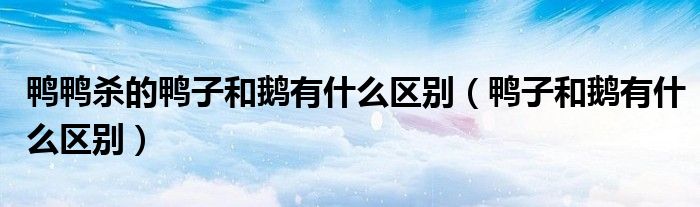 鸭鸭杀的鸭子和鹅有什么区别（鸭子和鹅有什么区别）