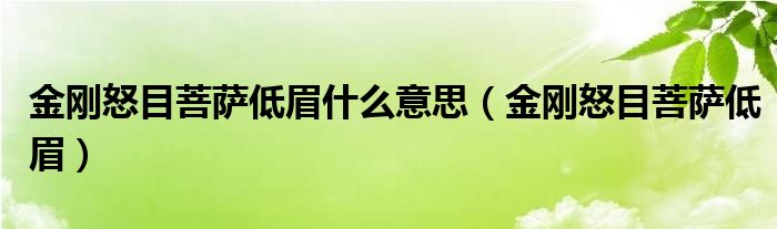 金刚怒目菩萨低眉什么意思（金刚怒目菩萨低眉）