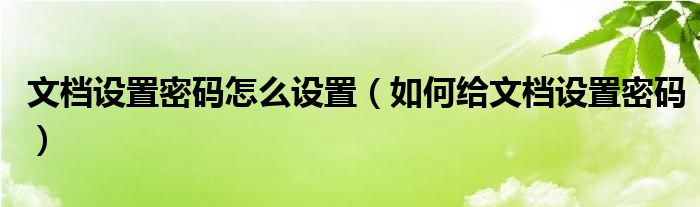 文档设置密码怎么设置（如何给文档设置密码）