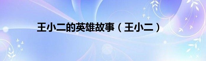 王小二的英雄故事（王小二）
