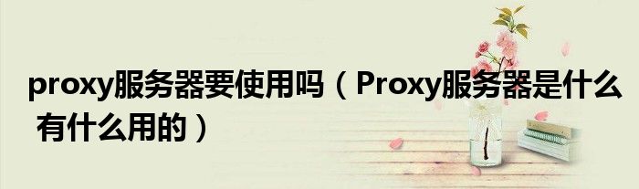 proxy服务器要使用吗（Proxy服务器是什么 有什么用的）