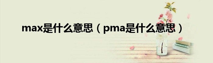 max是什么意思（pma是什么意思）
