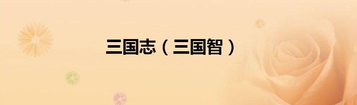 三国志（三国智）