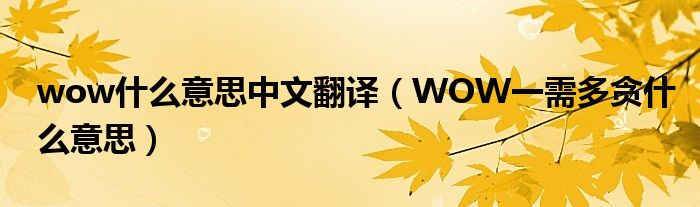 wow什么意思中文翻译（WOW一需多贪什么意思）