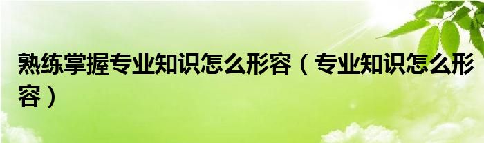 熟练掌握专业知识怎么形容（专业知识怎么形容）