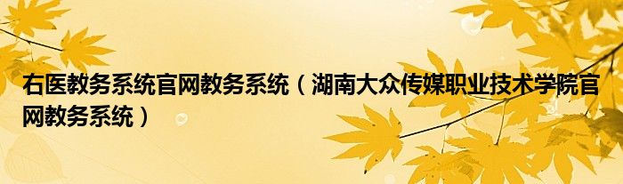 右医教务系统官网教务系统（湖南大众传媒职业技术学院官网教务系统）