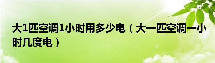 大1匹空调1小时用多少电（大一匹空调一小时几度电）