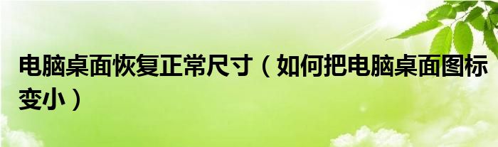 电脑桌面恢复正常尺寸（如何把电脑桌面图标变小）