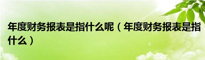 年度财务报表是指什么呢（年度财务报表是指什么）